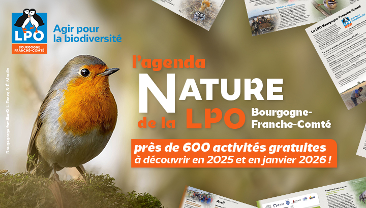 Nouvel agenda nature LPO BFC : 600 activités nature à découvrir en 2025 jusqu'en janvier 2026 !